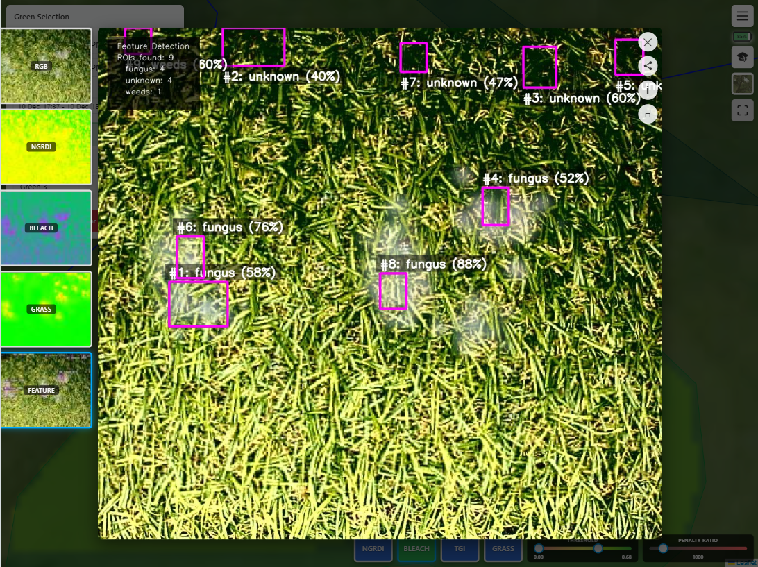 Neural network disease detection identifying fungus on golf green